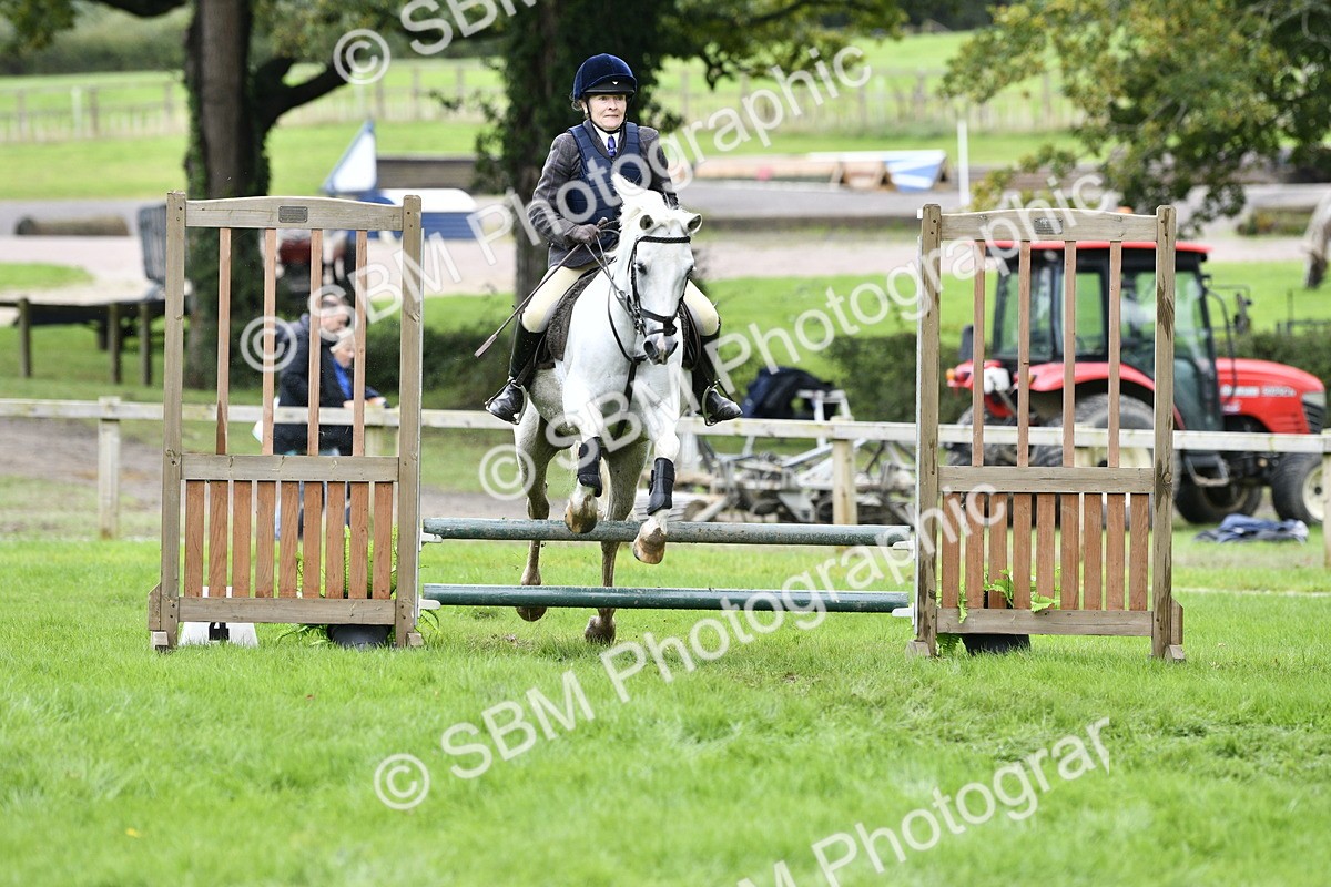 SBM_41302 - S32 - Mountain & Moorland Working Hunter Pony