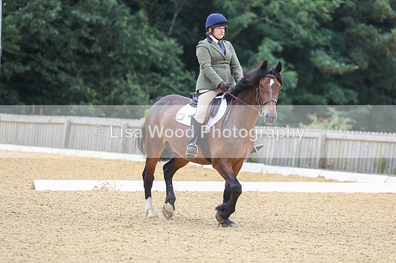 3E7A4564 - Class 1: Intro 4 2024 section A