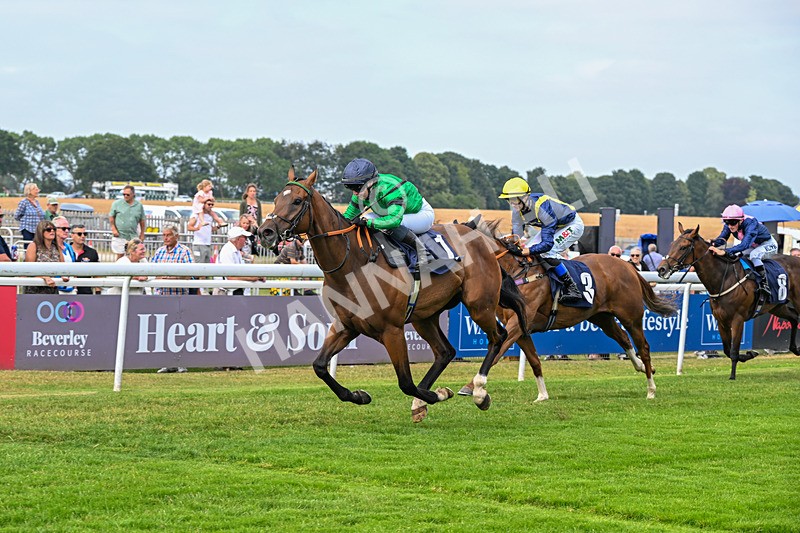 140726-Race 6-The Sweet Escape-1975 - Race 6 16.58pm Racing Again On Monday Evening Handicap