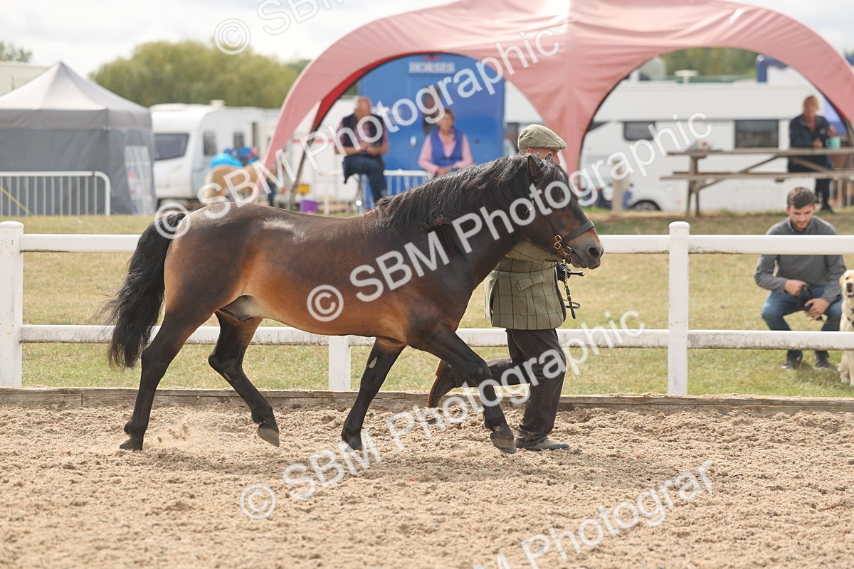 SBM_04951 - Class 20 - IH Veteran