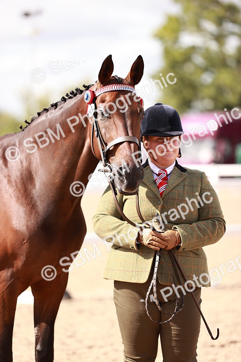 SBM_14217 - Class 407 - IH Hack Riding Horse