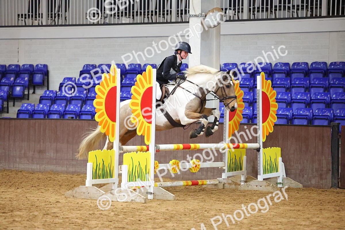 SBM_001924 - Class 5 - Show Jumping 80cm