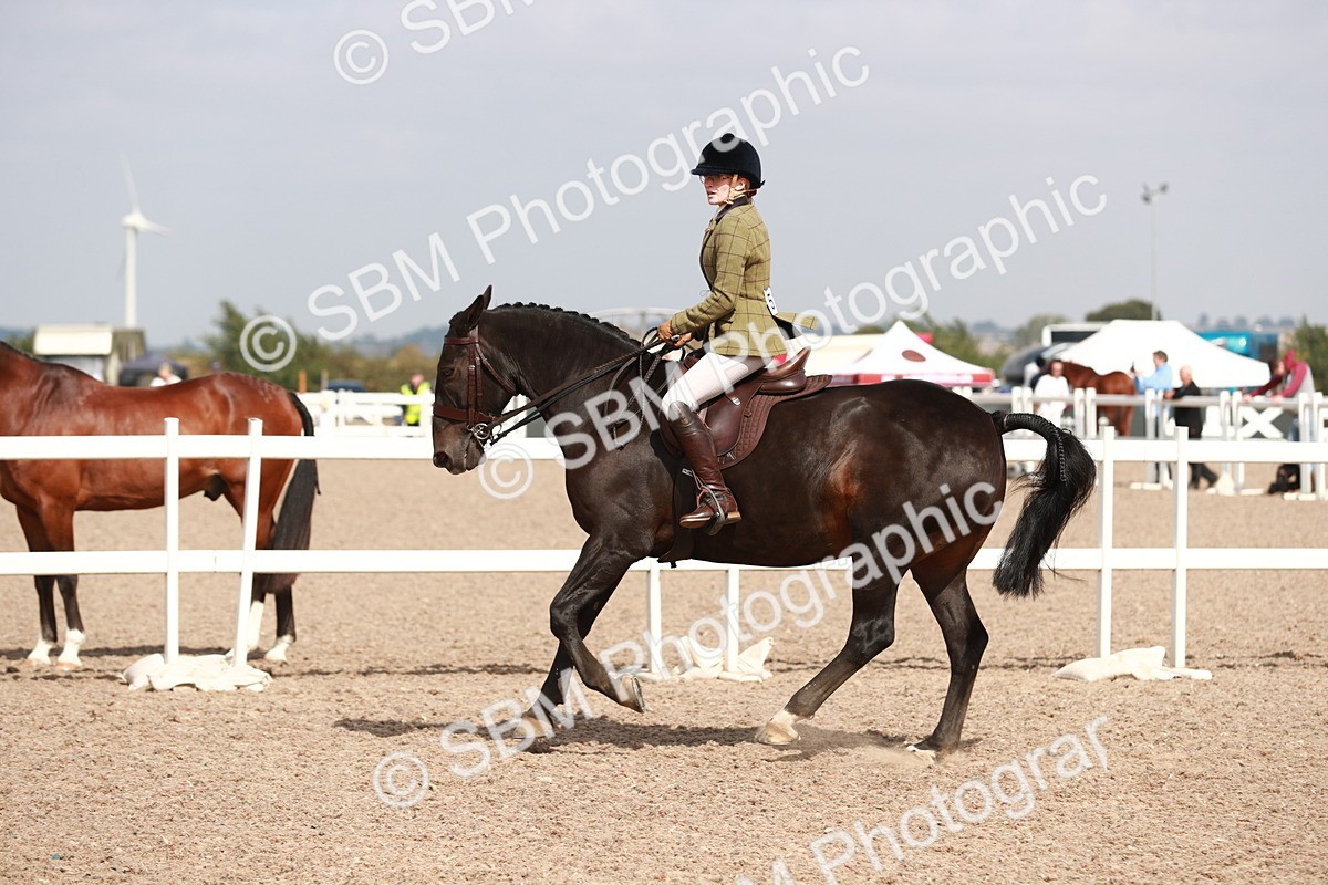 SBM_14857 - Class 212 Ridden Hunter - Small