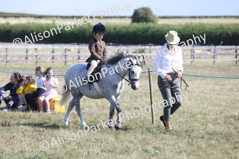 20250831-2598 - Class 17 - Lead Rein Pony