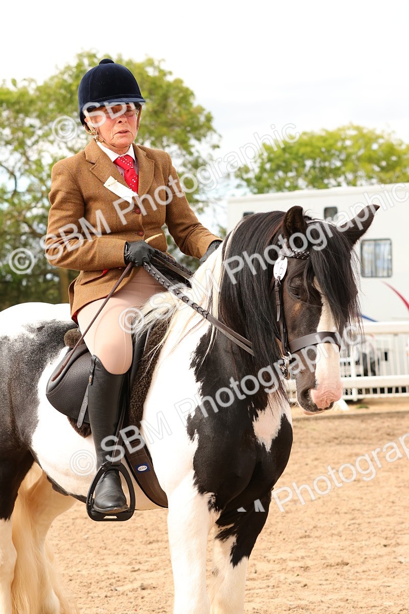 SBM_15680 - Class 215 - Ridden Traditional - Native Cobs