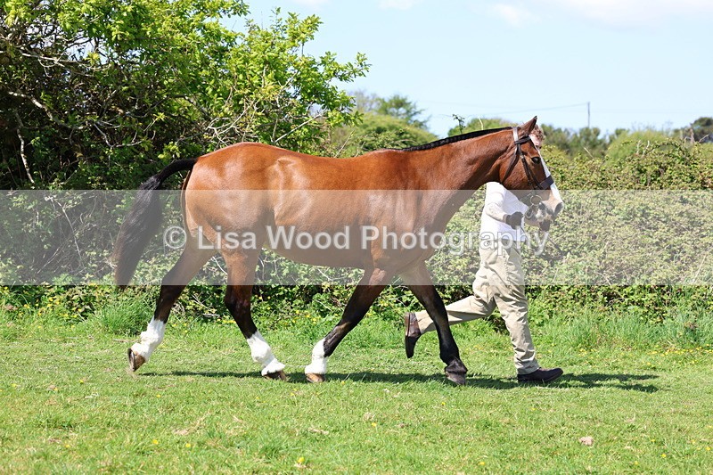 3E7A0277 - Class 19: Best Coloured in Hand