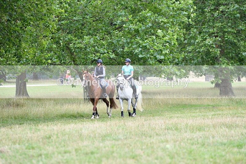 WJ5_0879 - Time at Jump 11:31 to 12:19