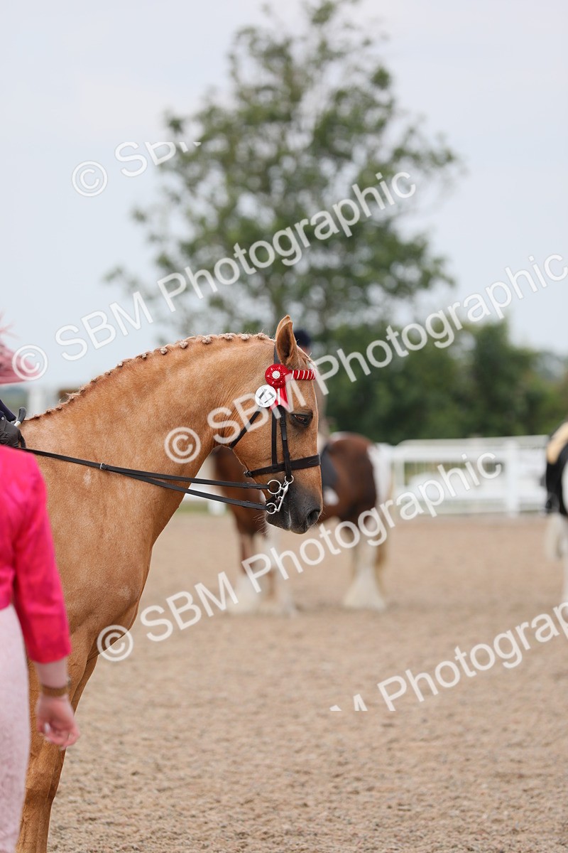 SBM_12730 - Class 307 Ridden Coloured Pony