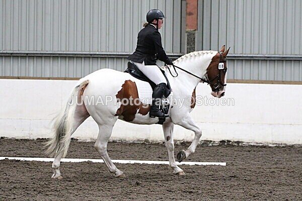 SIAL4536 - CAbin Dressage 5th july 2025