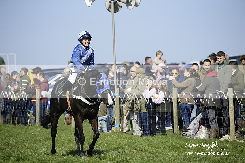 PtP 190322 409 - Wilton Hunt PtP Milborne St Andrew 19/03/22