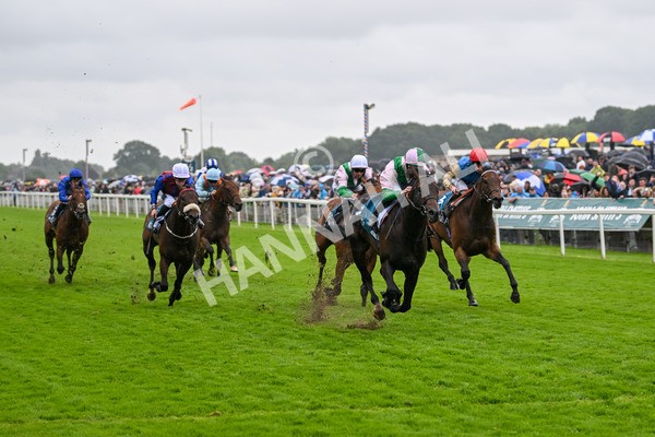 130724-Race 2-Starlust-7076 - Race 2 2.35pm John Smith's City Walls Stakes