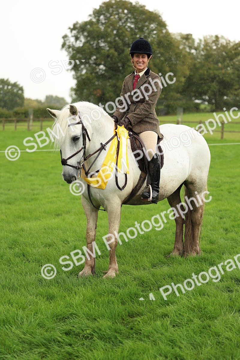 1I0A1515 - S32 - Mountain & Moorland Working Hunter Pony