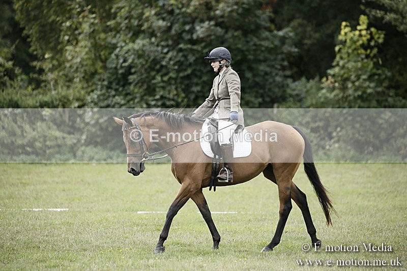 BVR080918 210 - BVRC Novice Dressage & CR 08/09/18