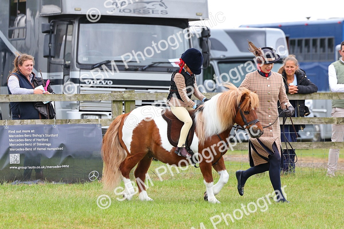 SBM_08234 - Class 42-43 - LIHS BSPS Heritage Working Sports Pony