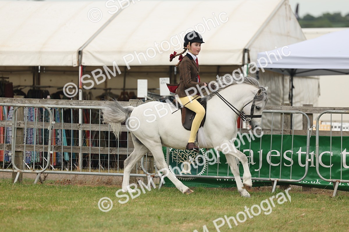 SBM_09116 - Class 78-80 - Ridden M&M Non Welsh Ponies