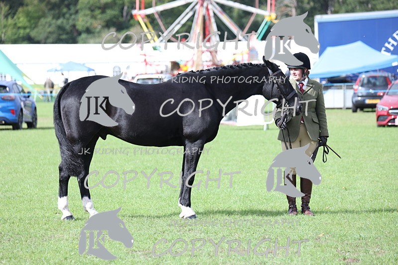 APP_2593 - Class 9 Veterans in hand