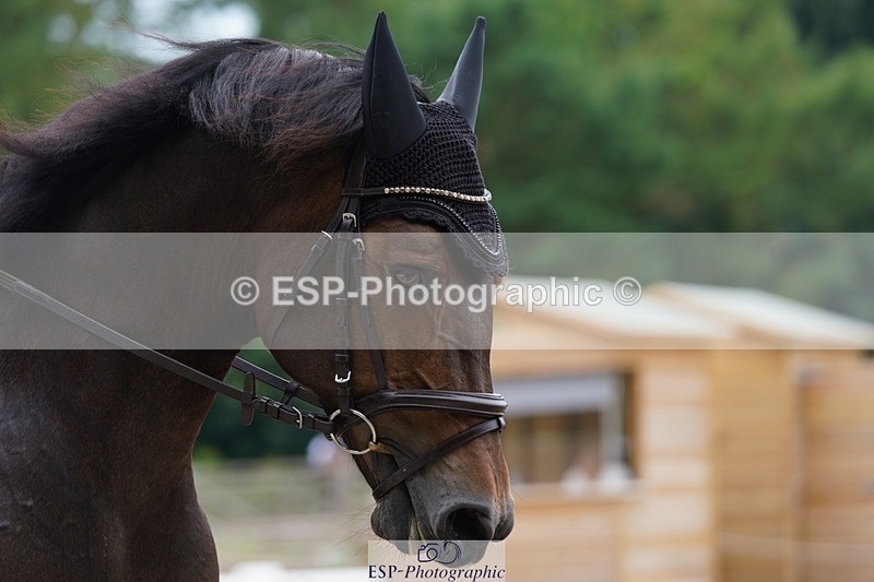 240721-100600-07435 - 301-Lauren_Prince-Inishturkbeg_Lucy_Jewel