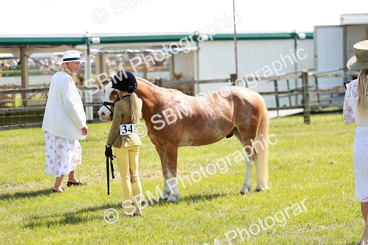 SBM_13627 - Class 108-109 - BSPS LIHS Open Gradle & Nursery Stakes