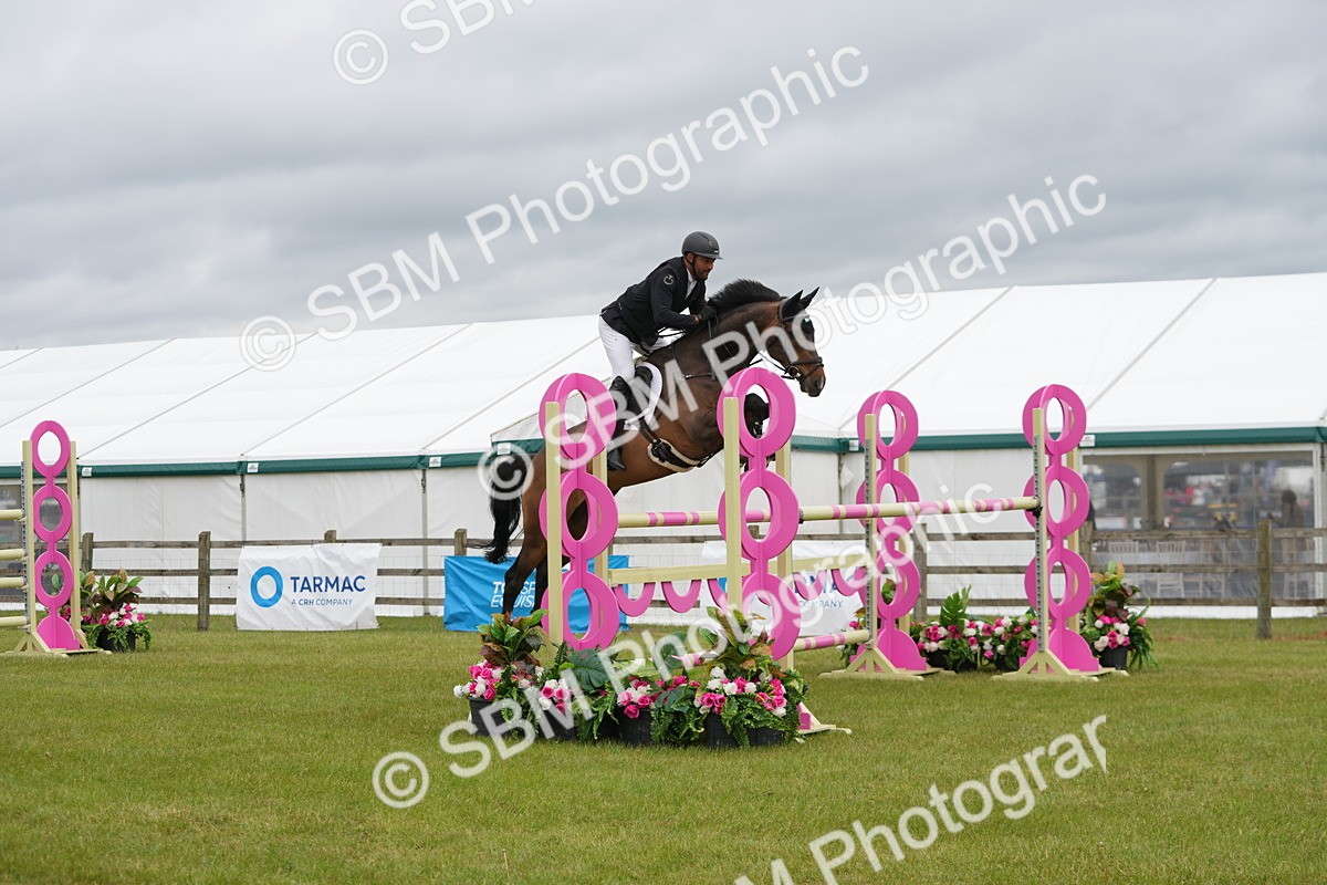 SBM_03411 - Class 201 - British Horse Feeds Speedi Beet Horse of the Year Show Grade  C