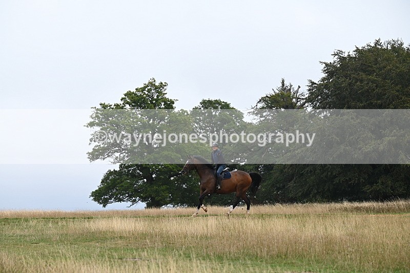 DSC_0291 - Time at Statue 09:51 to 10:54