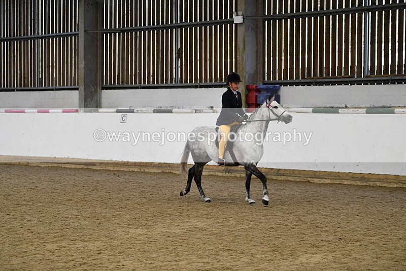 WJ5_7731 - Class 13 Ridden Part Breed