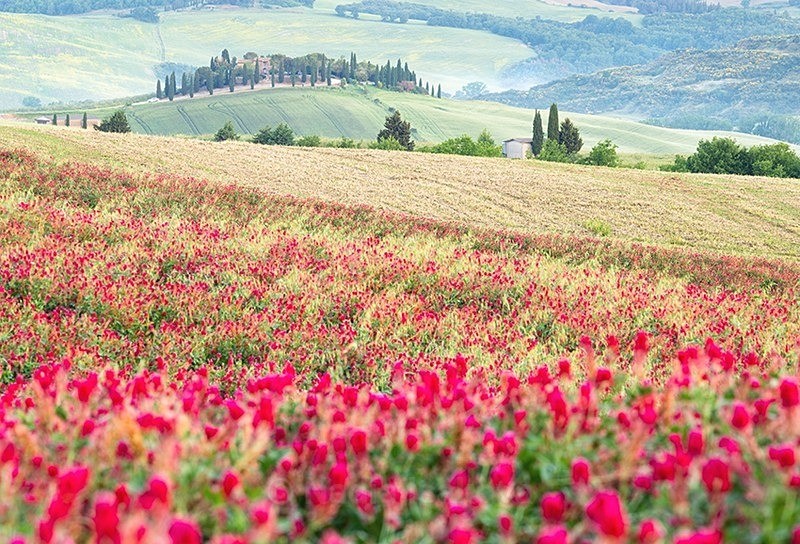  - Italy