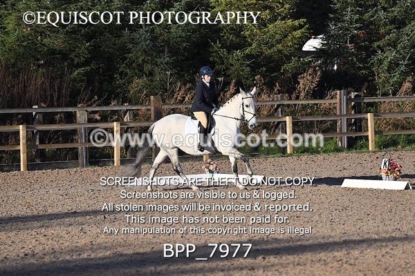BPP_7977 - LONG ARENA PRELIM 4