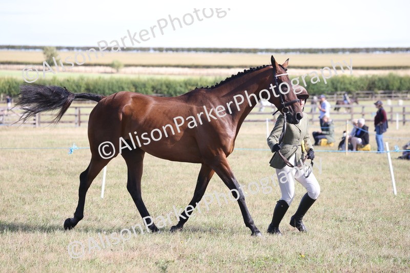 20260906-0745 - Class 22 - Ex Racehorse