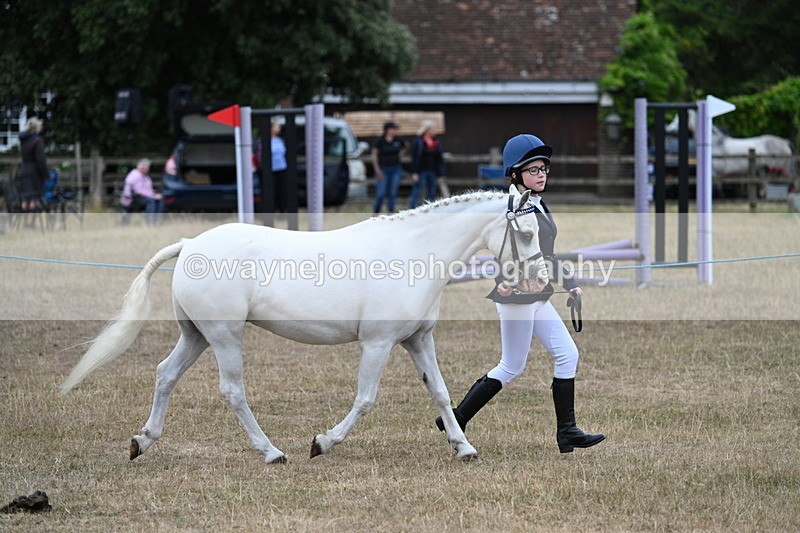 WJ7_8328 - Class 4 Prettiest Mare up to 14.2hh