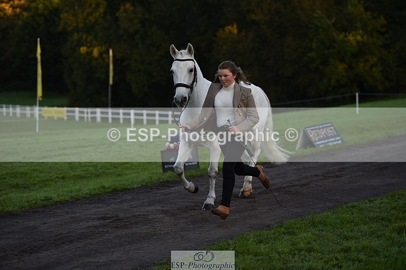 231022-083316-21225 - 659-MACS.BOY-Daisy.Fulton-TrotUp+SJ