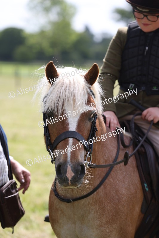 20260614-0736 - Class 20 - Beginners Working Hunter Pony
