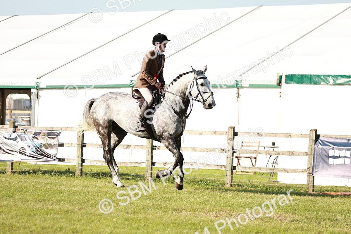 SBM_20057 - Class 115-116 - LIHS BSHA Rising Star Working Hunter & Show Horse