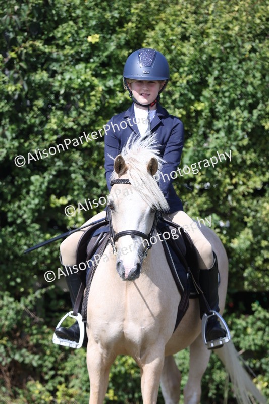 20250831-2526 - Class 16 - Family Pony