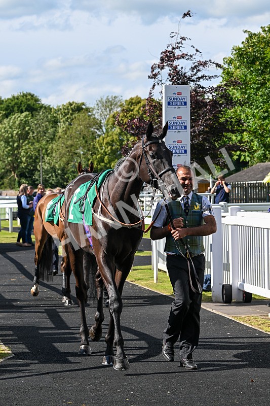 160624-Race 4-Align The Stars-8587 - Race 4