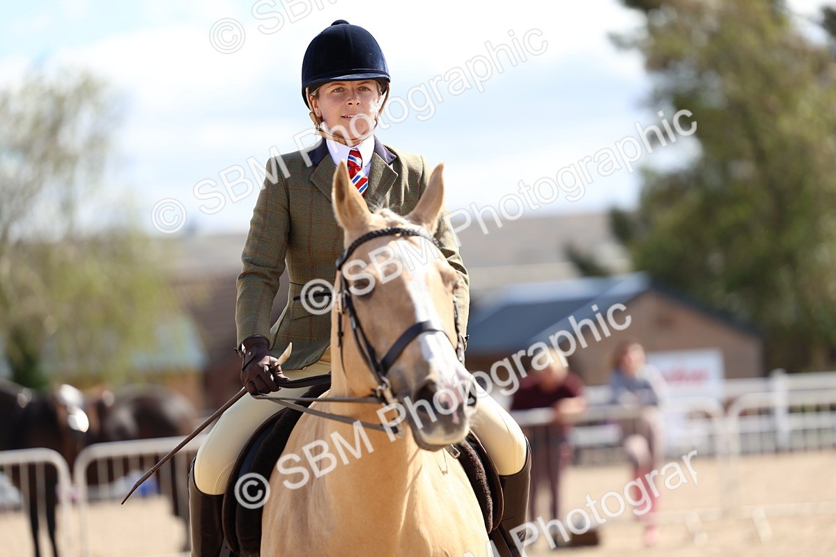 SBM_13327 - Class 311 - Ridden Show Pony Show Hunter Pony