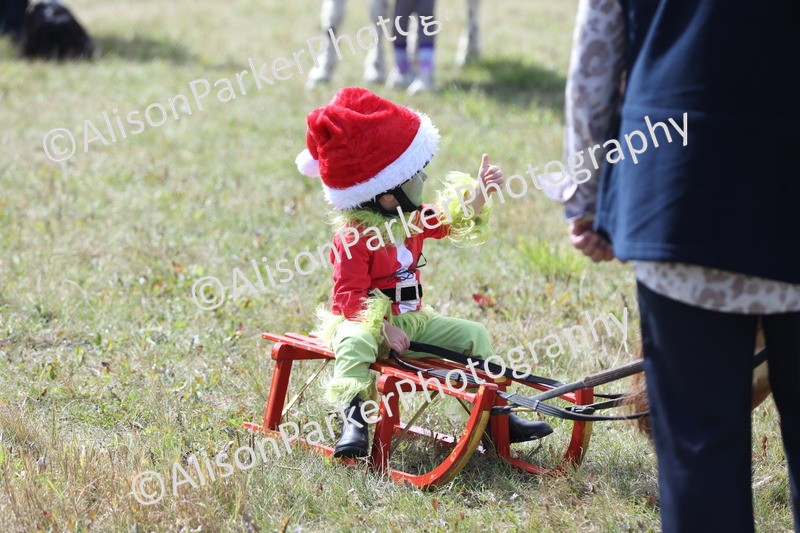 20250831-3479 - Class 26 - Fancy Dress