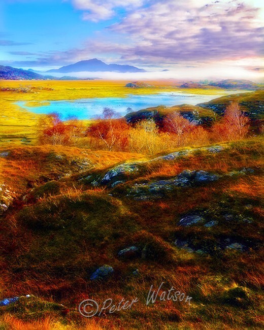 Kentra Bay Lochaber Highlands Scotland - Land