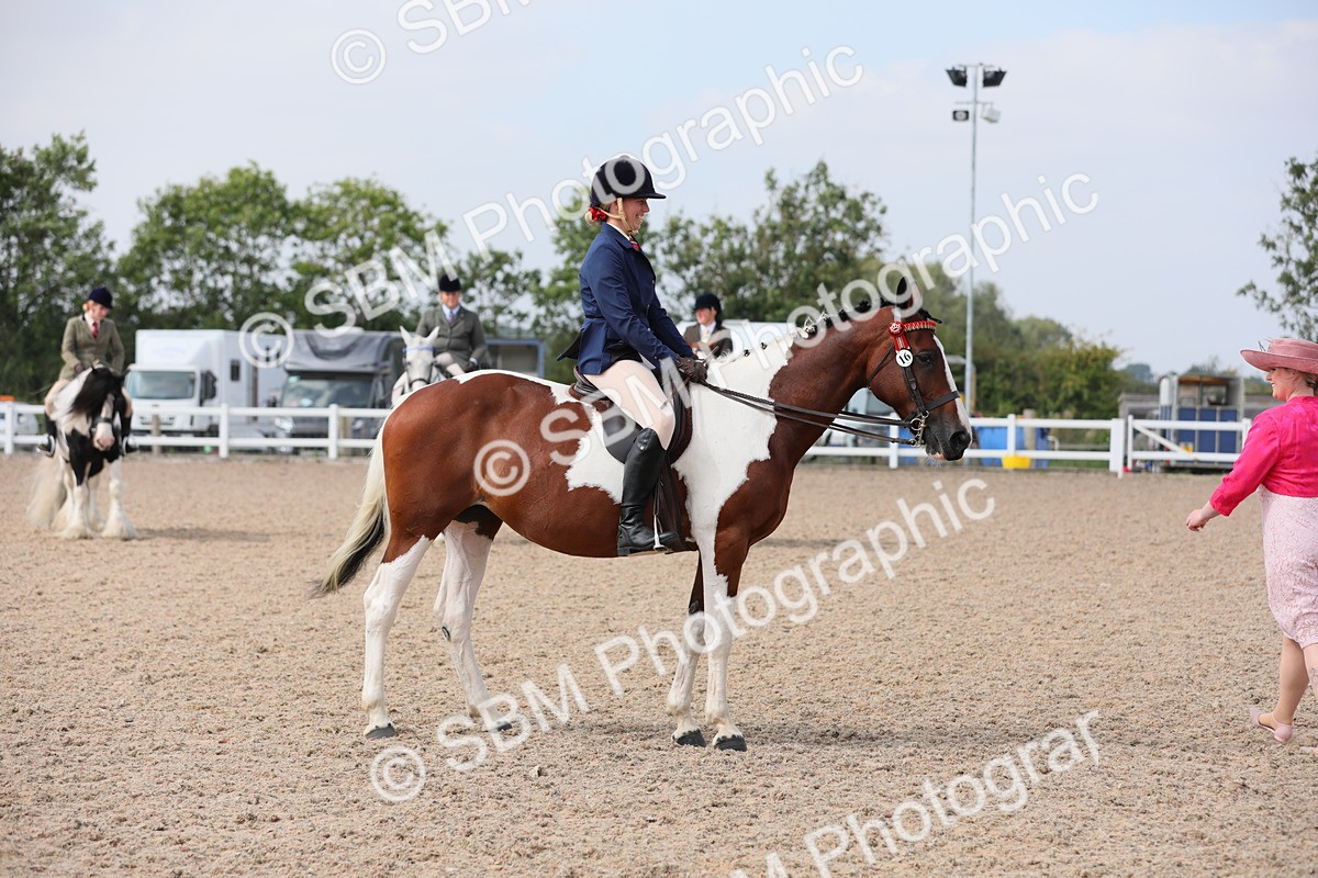 SBM_13443 - Class 308 Ridden Coloured Horse