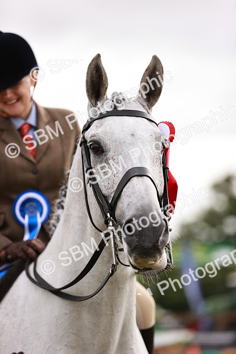 SBM_11578 - Class 81-84 - RIHS Ridden hunters Inc Ladies Hunter