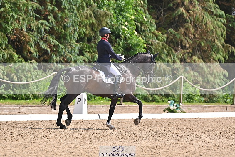 250523A-145647-07394 - B-365-Tom.McEwen-MAESTRO