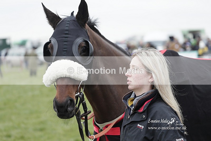 PtP 050323 365 - Blackmore & Sparkford Vale Hunt PtP - Somerset 05/03/23