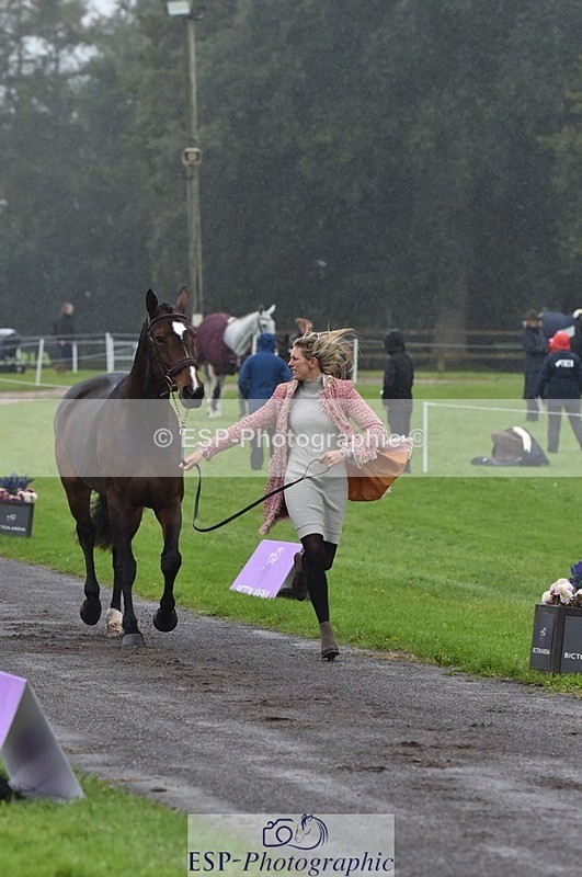 231018-120326-00046 - 057-OVERTON.TILANA'S.GOLD-Claire.Deuten-TrotUp