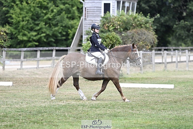 250821A-123052-15575 - DR 11.00 to 12.00