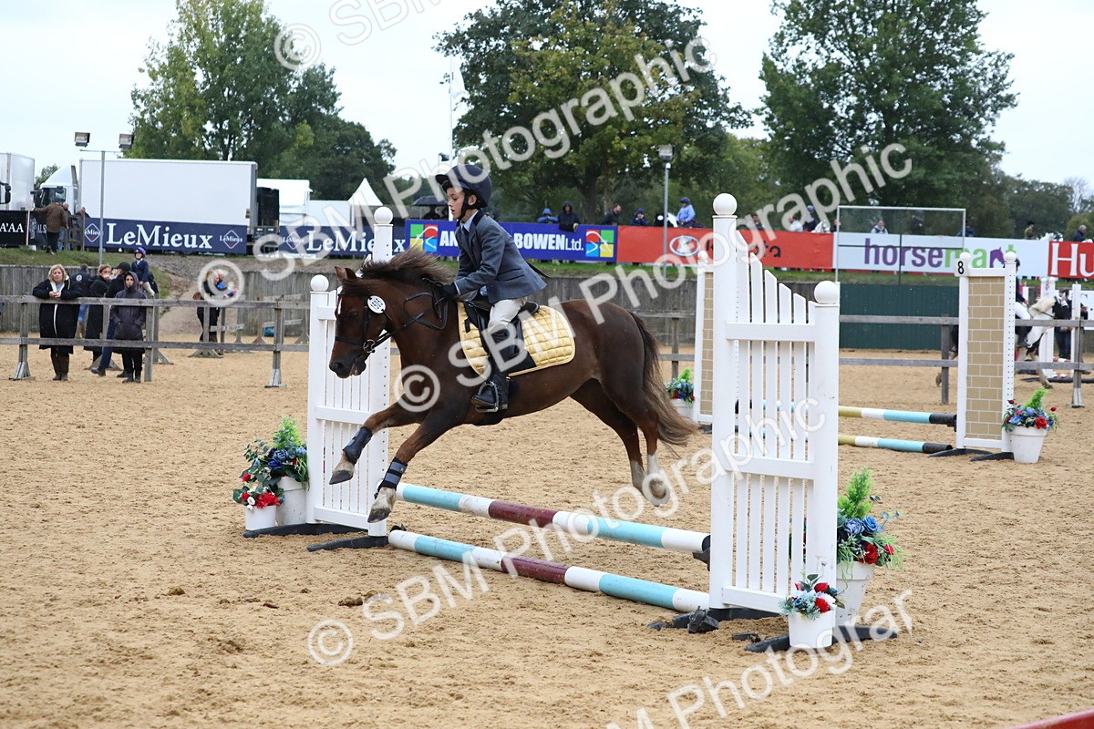 SBM_68415 - J3b - Mini Tour Junior Pony 40cm Championship