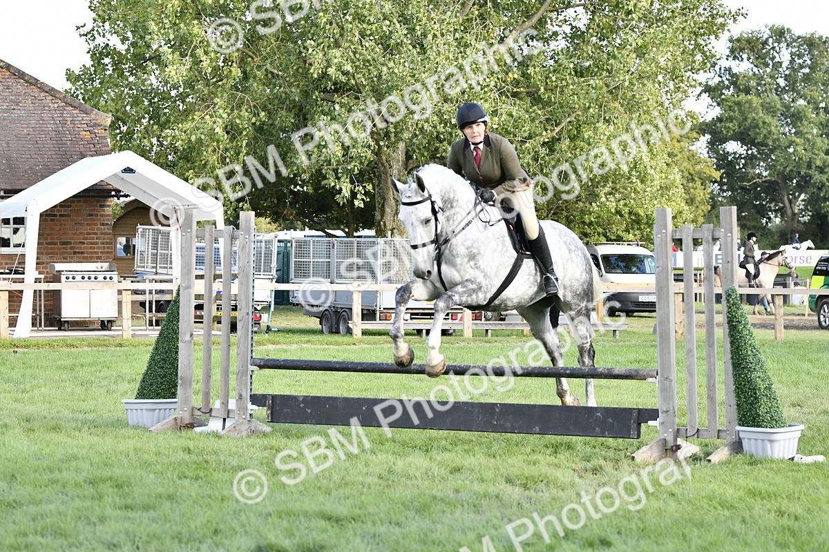 SBM_52159 - S35 - Working Hunter & Working Show Horse
