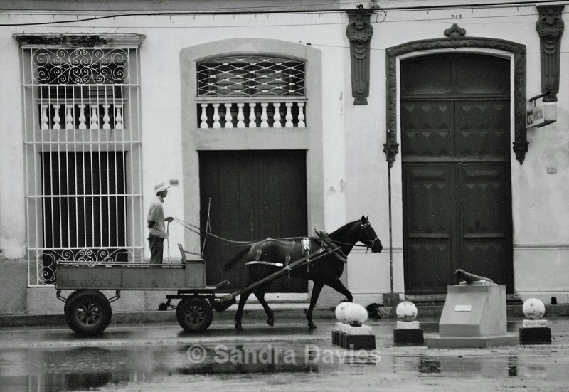  - Wildlife & People