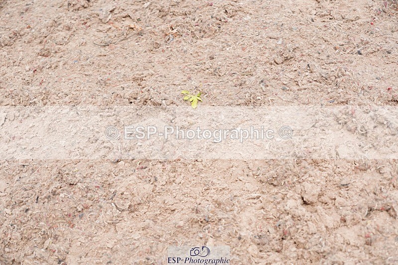 250523-134926-01990 - Cls 04 Snr 1.20m Open