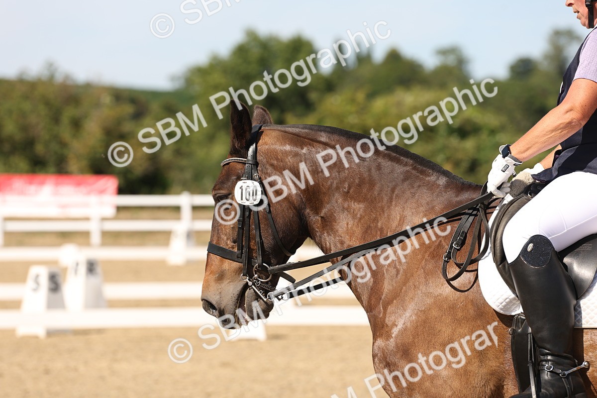 SBM_003771 - Elementary 4