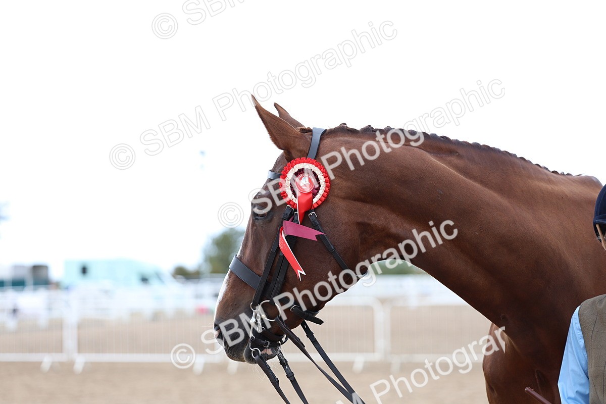 SBM_05138 - Class 27 - IH Competition Horse or Pony
