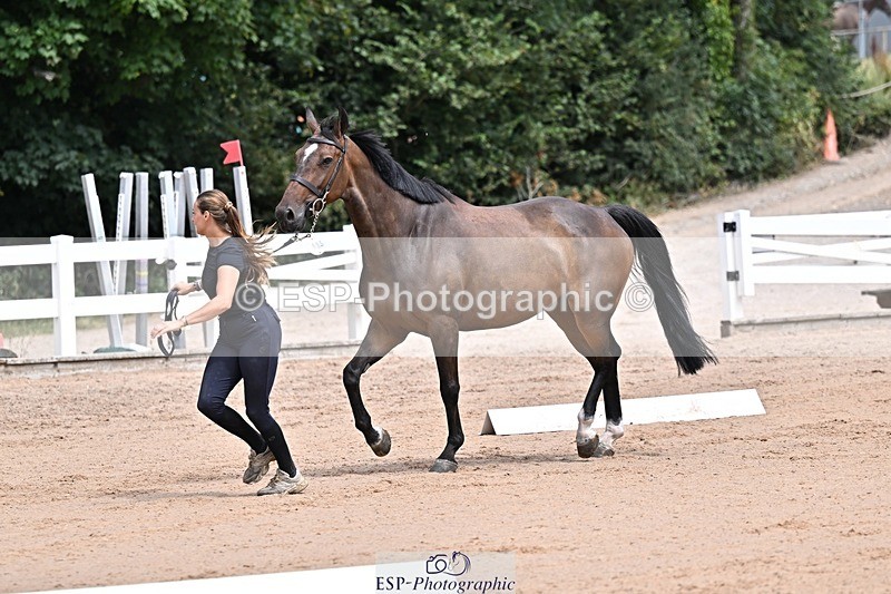 250716-125834-00258 - Trot Up 12.30 to 1.30